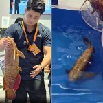 A Closer Look at the BG-5 Golden Dragon Fish, China’s Robot Arowana That Swims Without a Script