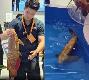 china-autonomous-robotic-fish-surveillance.jpg