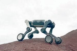 deep-robotics-lynx-m20-robot-red-desert.jpg