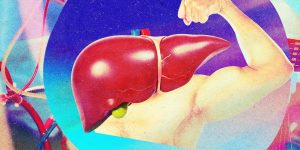 liver-perfusion.jpg