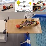 Innovative WorMa Robot Pumps Water From Head to Tail to Cross Land, Steps, and Water