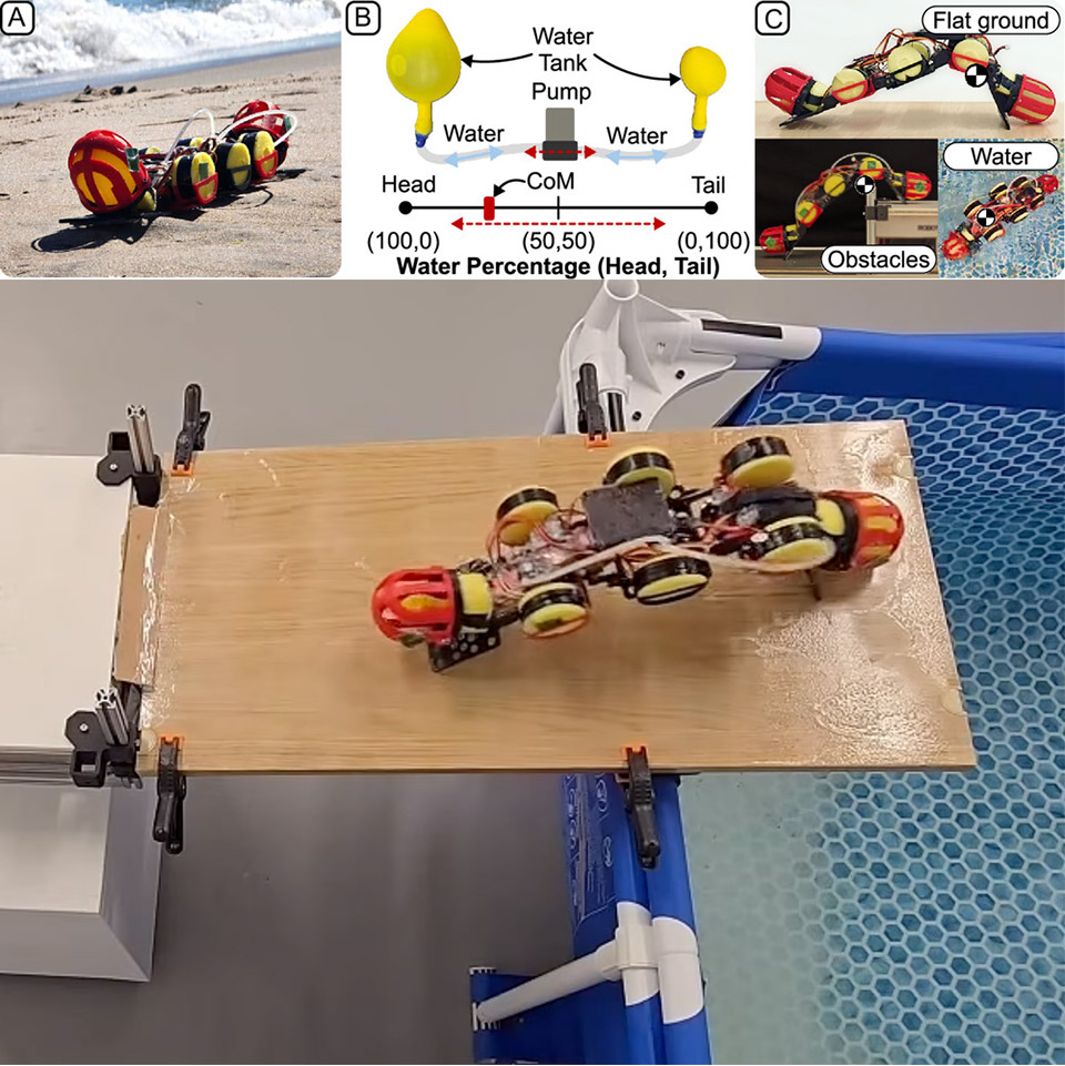 nyu-worma-shape-shifting-robot-stretch.jpg