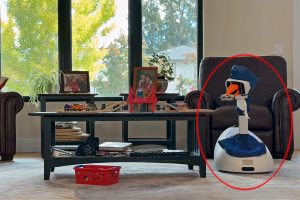robotworks-goose-robot-household.jpg