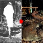 Sampling Chernobyl’s Elephant’s Foot Reveals AK-47s and Radioactive Dust