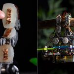 TU Delft Bird Drone Feels Its Way Onto Branches and Rests Quietly