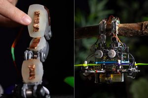 tu-delft-bird-drone-branches.jpg