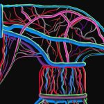 Cleaning up PFAS | MIT Technology Review