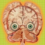 Six wild ideas for perpetuating your mind