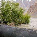 2026 Climate Tech Companies to Watch: WaveSave and its portable rubber dam