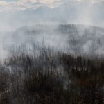 Inside the quest to combat Arctic fires and save the planet’s frozen carbon