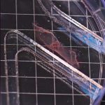 Living Muscle Cells Power a Paper-Thin MIT Aquabot Through a Maze